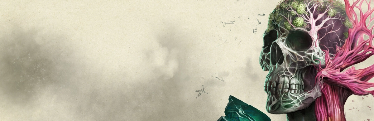 Avowed 宣誓 [DLC 解锁补丁_凝聚力] [Steam & Xbox]