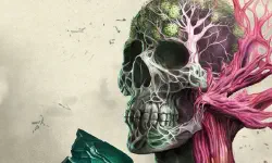 Avowed 宣誓 [DLC 解锁补丁_凝聚力] [Steam & Xbox]
