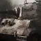 Men of War Assault Squad 2 战争之人 突击小队 2 [DLC 解锁补丁_凝聚力] [Steam]