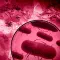 Plague Inc Evolved 瘟疫公司 物竞天择 [DLC 解锁补丁_凝聚力] [Steam]