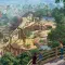 Planet Zoo 动物园之星 [DLC 解锁补丁_凝聚力] [Steam]
