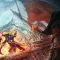 Rogue Waters 恶棍水域 [DLC 解锁补丁_凝聚力] [Steam & Epic]