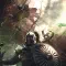 Solasta Crown of the Magister 索拉斯塔 魔法师之冠 [DLC 解锁补丁_凝聚力] [Steam]