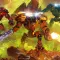 The Riftbreaker 银河破裂者 [DLC 解锁补丁_凝聚力] [Steam & Epic]