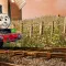 Thomas & Friends Wonders of Sodor 托马斯和朋友 多多岛奇观 [DLC 解锁补丁_凝聚力] [Steam]